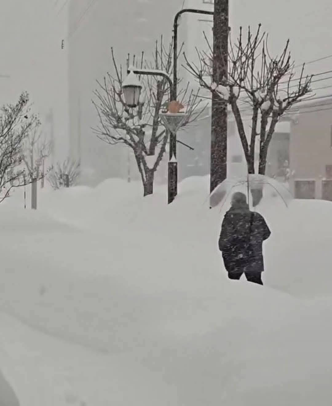 46 Νεκροί από τις σφοδρές χιονοπτώσεις στην Ιαπωνία 