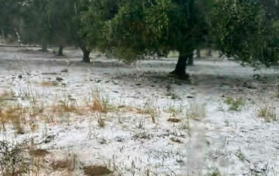 Μεσαρά Κρήτης: Απίστευτες εικόνες- Τέλη Μαΐου «έστρωσε» το χαλάζι σε Βαγιωνιά και Απεσωκάρι