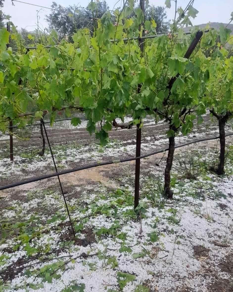 Ηράκλειο Κρήτης: Ισχυρή χαλαζόπτωση προκάλεσε σοβαρές ζημιές σε καλλιέργειες 