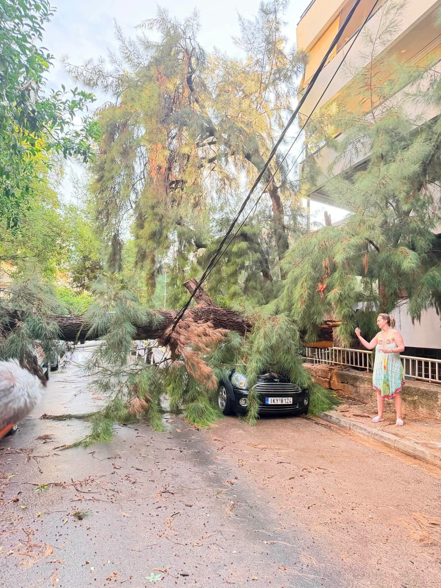 Πτώσεις δέντρων από την κακοκαιρία στη Φιλοθέη Πτώσεις δέντρων από την κακοκαιρία στη Φιλοθέη