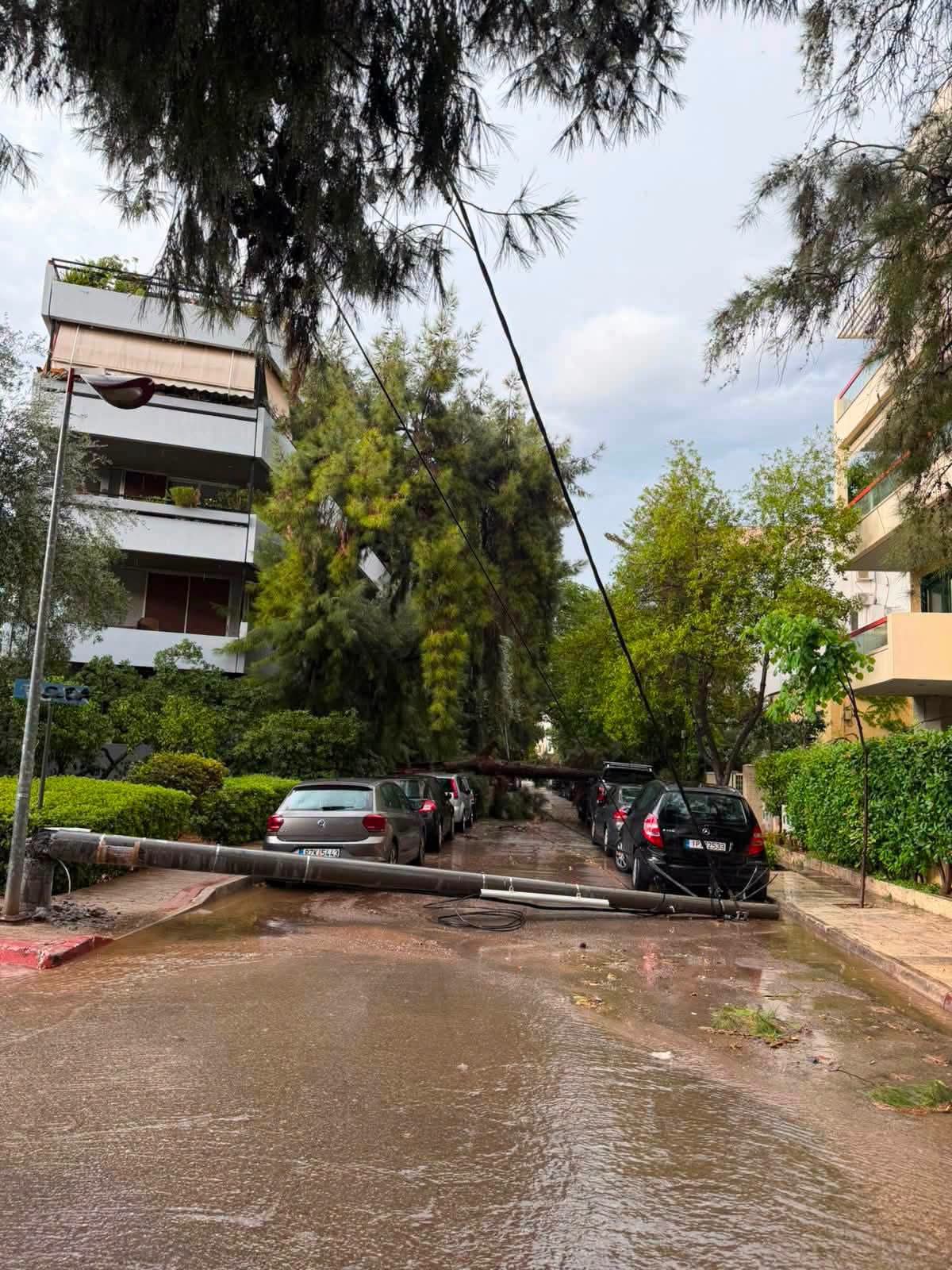 Πτώσεις δέντρων από την κακοκαιρία στη Φιλοθέη 