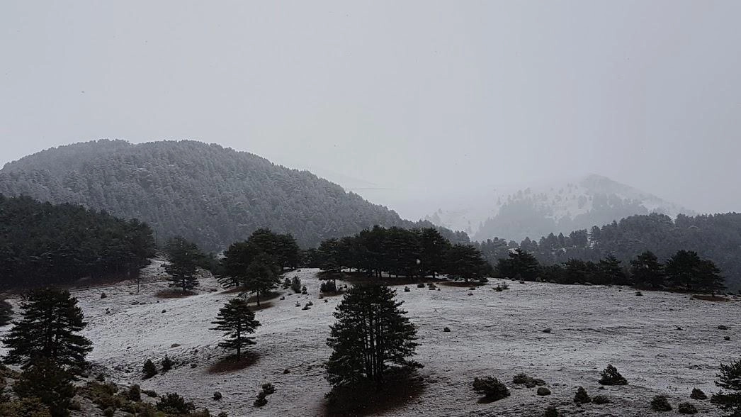 Μακροπρόθεσμη εκτίμηση καιρού από 06-01-2018 έως και 25-01-2018.