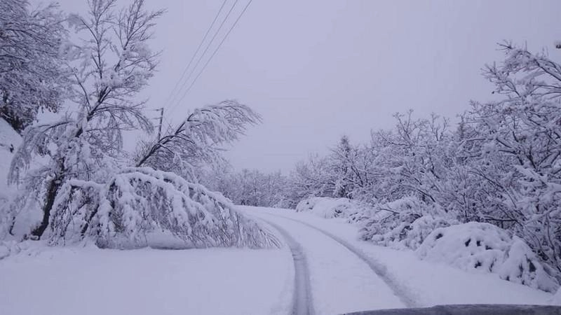 Δυναμική παρουσία του χειμώνα από τα μέσα της επόμενης βδομάδας στη χώρα μας.