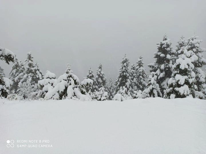 Εντυπωσιακή χιονόπτωση στη λίμνη Πλαστήρα. Δείτε αποκλειστικό βίντεο.
