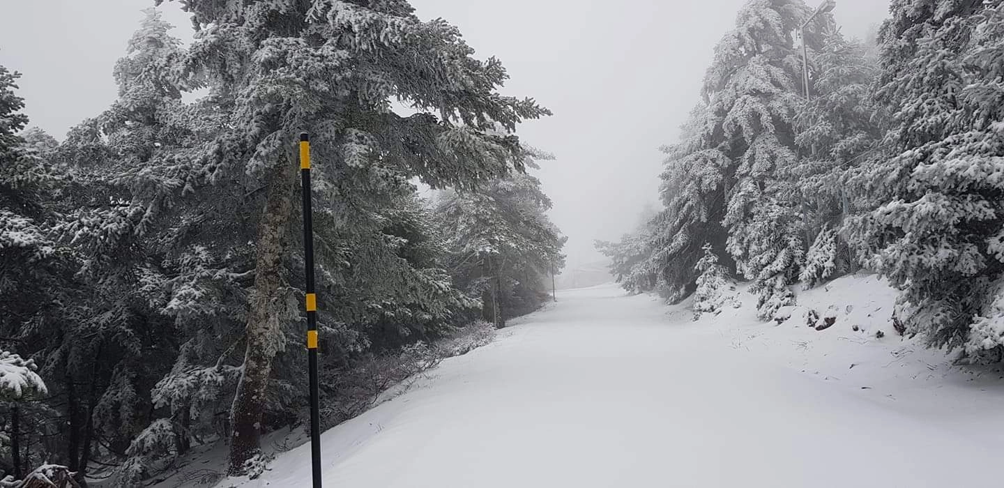 Στα λευκά η Πάρνηθα. Δείτε φωτογραφίες και βίντεο.