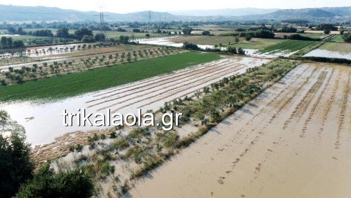Εκατοντάδες στρέμματα με καλλιέργειες πλημμύρισαν στο Ρίζωμα Τρικάλων. Ζημιές και σε σπίτια (βίντεο-φωτό).