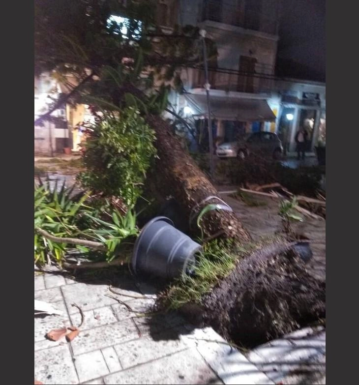 Ζημιές από το πέρασμα ανεμοστρόβιλου στην Κορώνη.