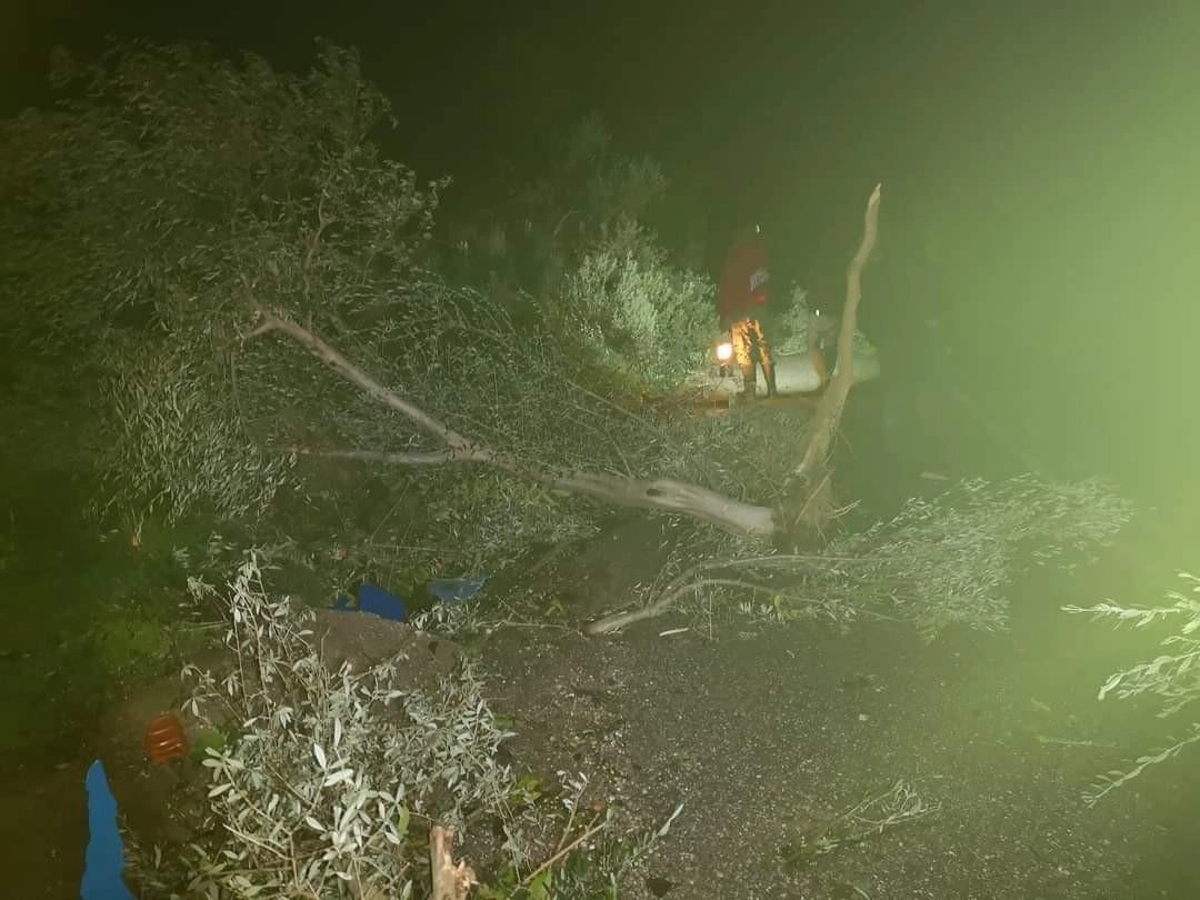 Ανεμοστρόβιλος έπληξε περιοχές του δήμου Ζαχάρως Ηλείας. (ΕΙΚΟΝΕΣ)