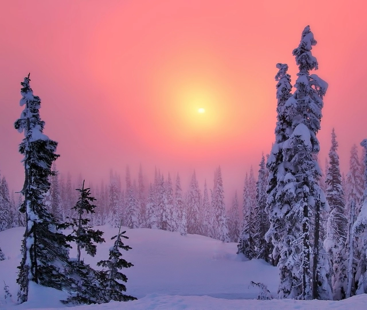 ❄️ Χιονοπτώσεις στη νοτιοανατολική χώρα αύριο Τρίτη 25-01-22