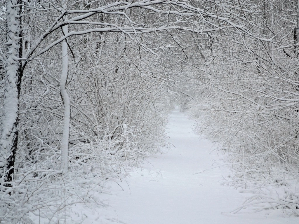 Χιονοπτώσεις στα ημιορεινά και ορεινά των κεντρικών και νότιων ηπειρωτικών και καταιγίδες στα νότια νησιωτικά για αύριο Τετάρτη