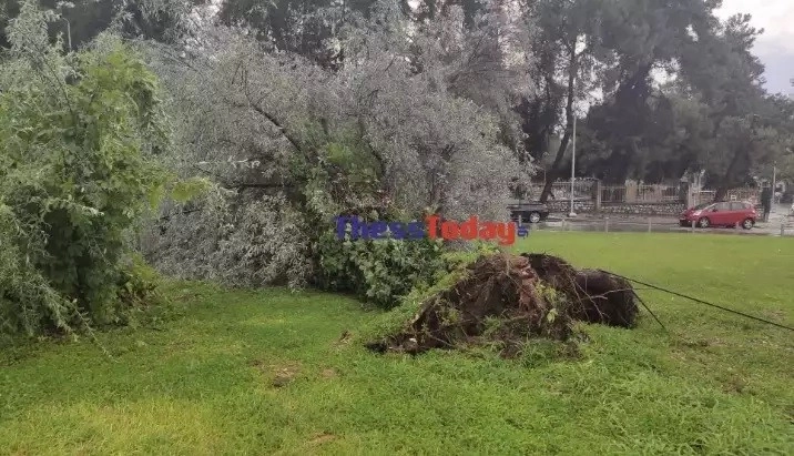 Προβλήματα από την ισχυρή καταιγίδα που πέρασε στην Θεσσαλόνικη. Δειίτε φώτο.