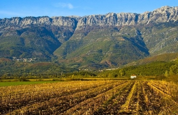 Ηλιοφάνεια με αραιές νεφώσεις παροδικά πυκνότερες, μέτριοι βόρειοι άνεμοι στο Αιγαίο, 