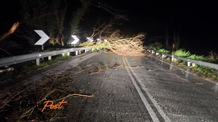 Σοβαρά Προβλήματα έκλεισε η παλιά Εθνική Οδός Ιωαννίνων Άρτας από πτώσεις δέντρων.