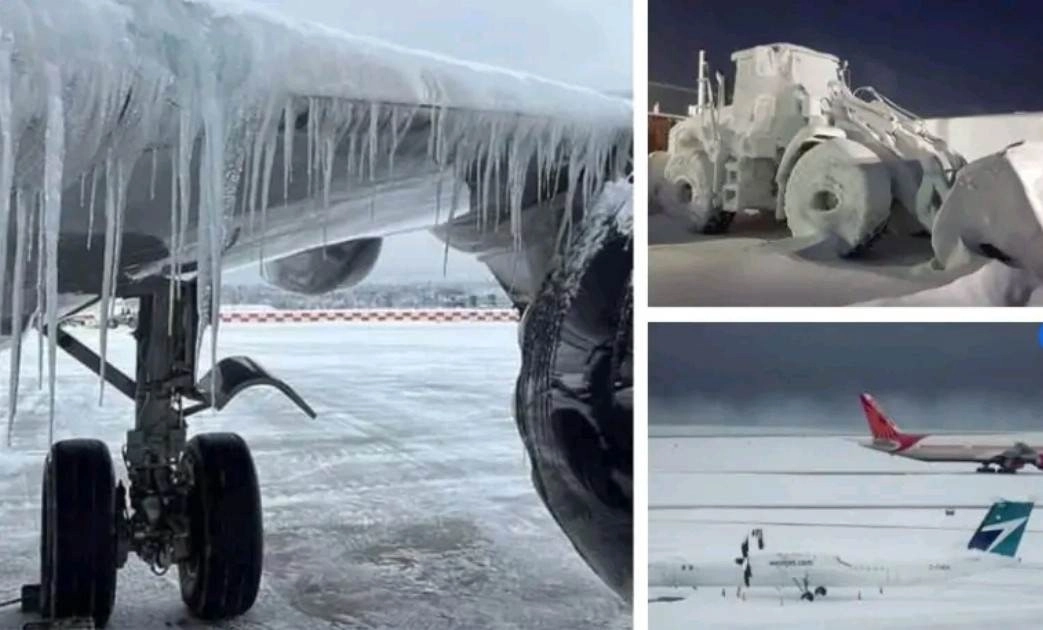 Σε μετεωρολογική βόμβα θα εξελιχθεί το κύμα ψύχους στις ΗΠΑ : 12 Πολιτείες κηρύσσονται σε κατάσταση εκτάκτου ανάγκης