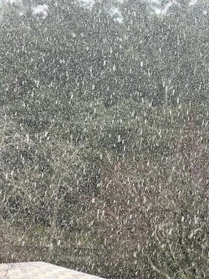 Χιονίζει στα ορεινά της Λέσβου.