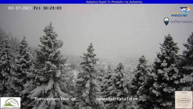 Πυκνές χιονοπτώσεις στα ορεινά. Δείτε Live εικόνα μέσα από τις κάμερες.