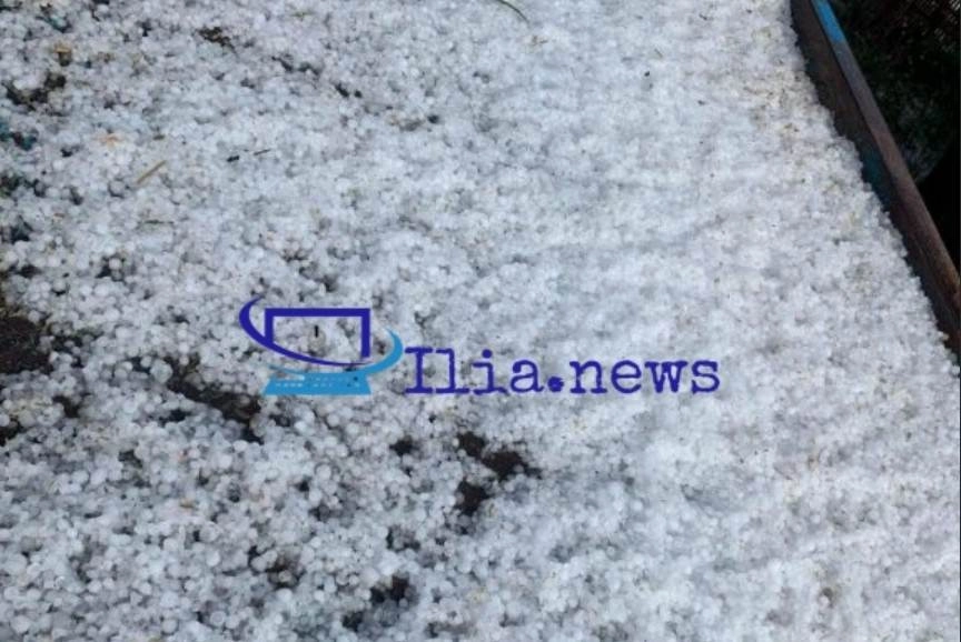 Ανυπολόγιστες καταστροφές στις καλλιέργειες εξαιτίας της σφοδρής χαλαζόπτωσης που έπληξε το πρωί περιοχές του νομού Ηλείας (video)