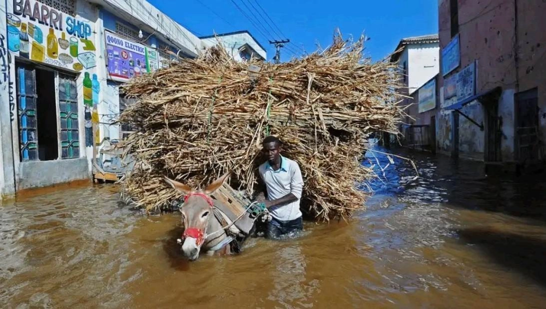 Σομαλία : 250.000 άνθρωποι αναγκάστηκαν να εγκαταλείψουν τα σπίτια τους από τις σοβαρές πλημμύρες στο Χιράν