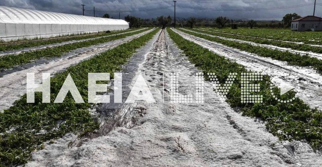 Ηλεία : Ισχυρή χαλαζόπτωση προκάλεσε σοβαρές ζημιές στις καλλιέργειες καρπουζιού στον Άγιο Ηλία Πύργου