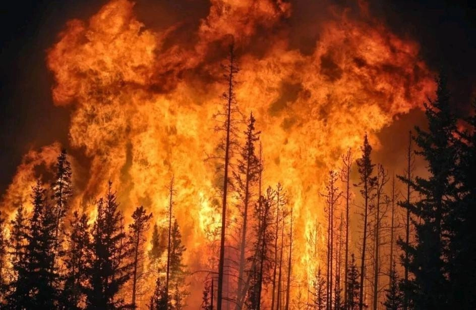 Πύρινος όλεθρος στον Καναδά : 414 πύρινα μέτωπα εκ των οποίων τα 239 εκτός ελέγχου - 3,8 εκατομμύρια εκτάρια γης έχουν γίνει στάχτη