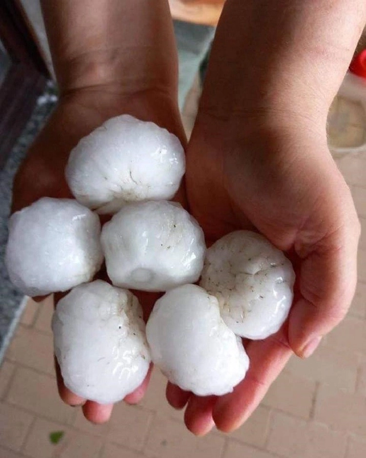 Ιταλία : Ολοκληρωτική καταστροφή των καλλιεργειών από την χθεσινή σφοδρή χαλαζόπτωση που έπληξε το Πιεμόντε (video)