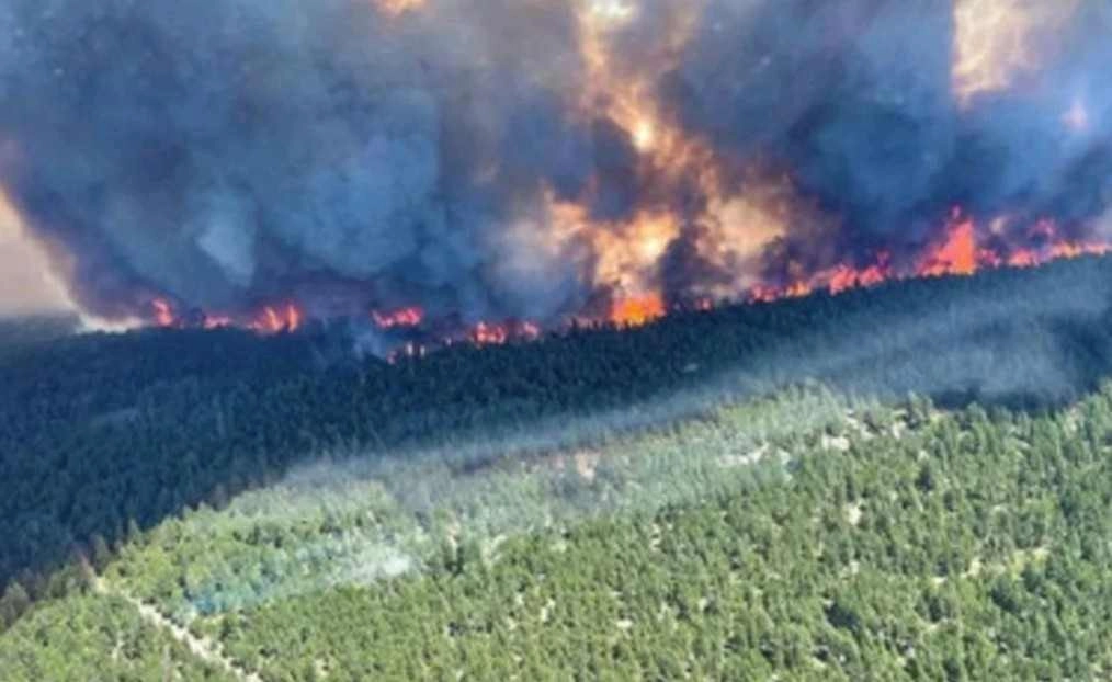 Καναδάς : Θερμοκρασίες ρεκόρ στα βορειοδυτικά τμήματα και 639 ενεργά πύρινα μέτωπα σε ολόκληρη την χώρα