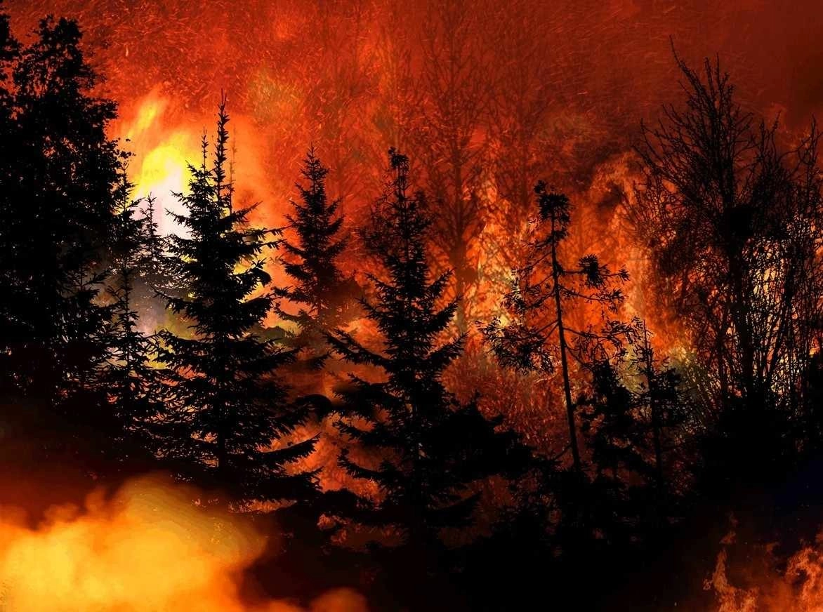 Καναδάς : Δύο πυροσβέστες και ένας πιλότος ελικοπτέρου νεκροί κατά την διάρκεια επιχειρήσεων κατάσβεσης των πυρκαγιών στην χώρα