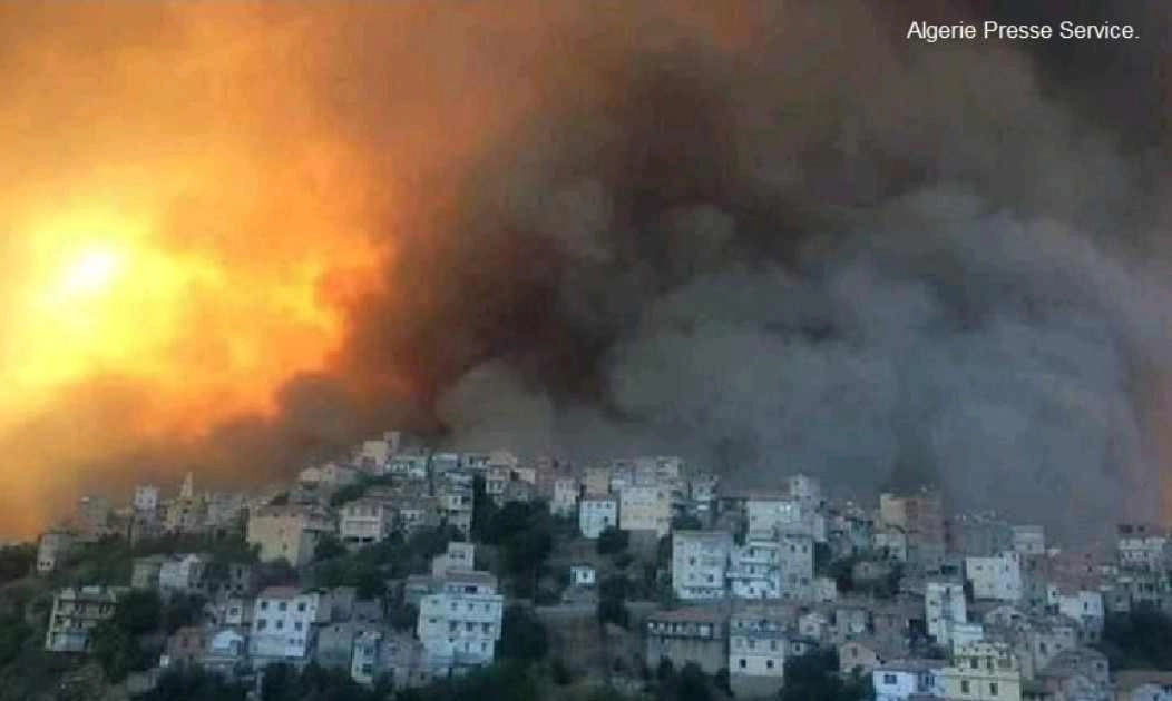 Αλγερία : 97 πυρκαγιές μέσα σε μόλις ένα 24ωρο προκάλεσαν τον θάνατο 15 ανθρώπων και τον τραυματισμό άλλων 26 στα βόρεια της χώρας 