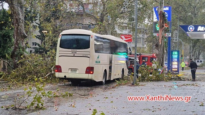 Πτώση κλαδιών και εγκλωβισμός λεωφορείου στην Ξάνθη.  