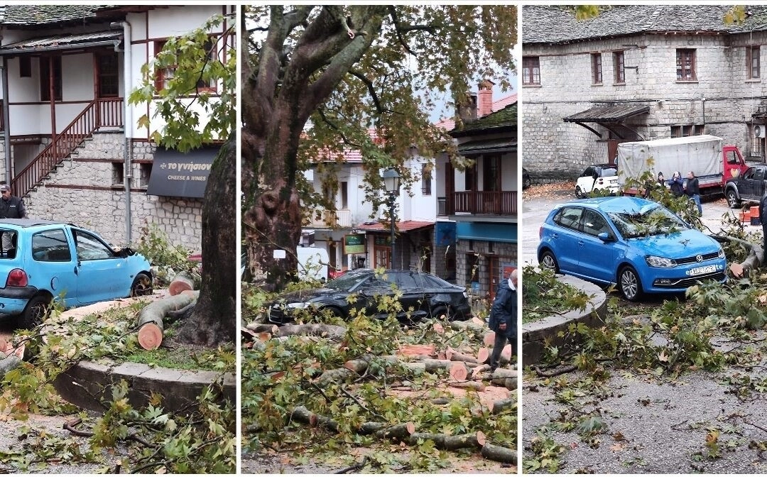 Ζημιές σε αυτοκίνητα από πτώσεις δέντρων στο Μέτσοβο- Κατολισθήσεις σε σε Κόνιτσα, Τζουμέρκα και Πωγώνι 