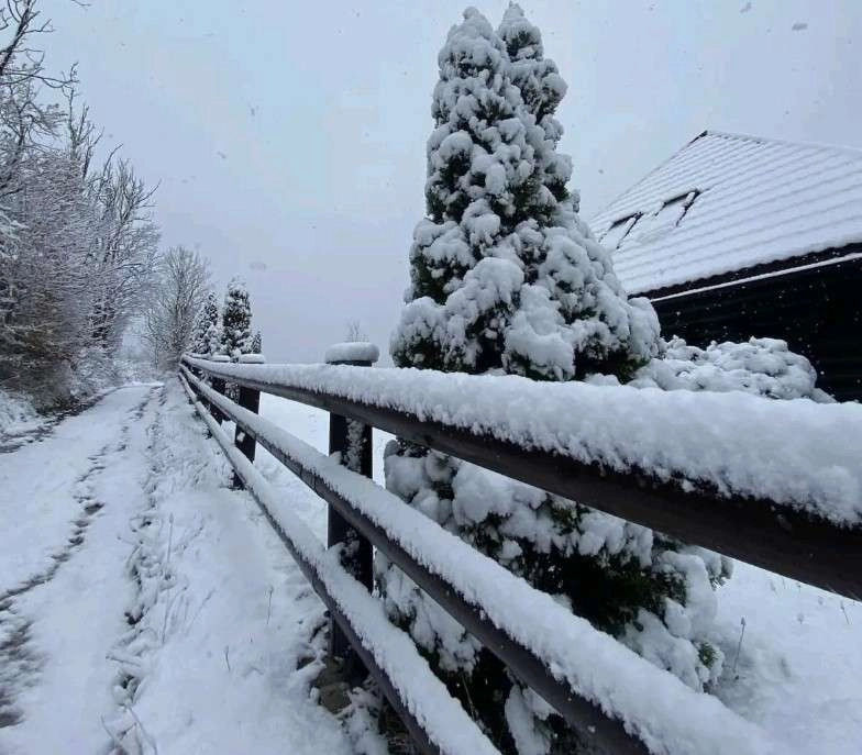 Ο χειμώνας αρχίζει δειλά δειλά να δηλώνει την παρουσία του στην Ευρώπη : Πυκνή χιονόπτωση σημειώθηκε στο Ράβνα Γκόρα της Κροατίας