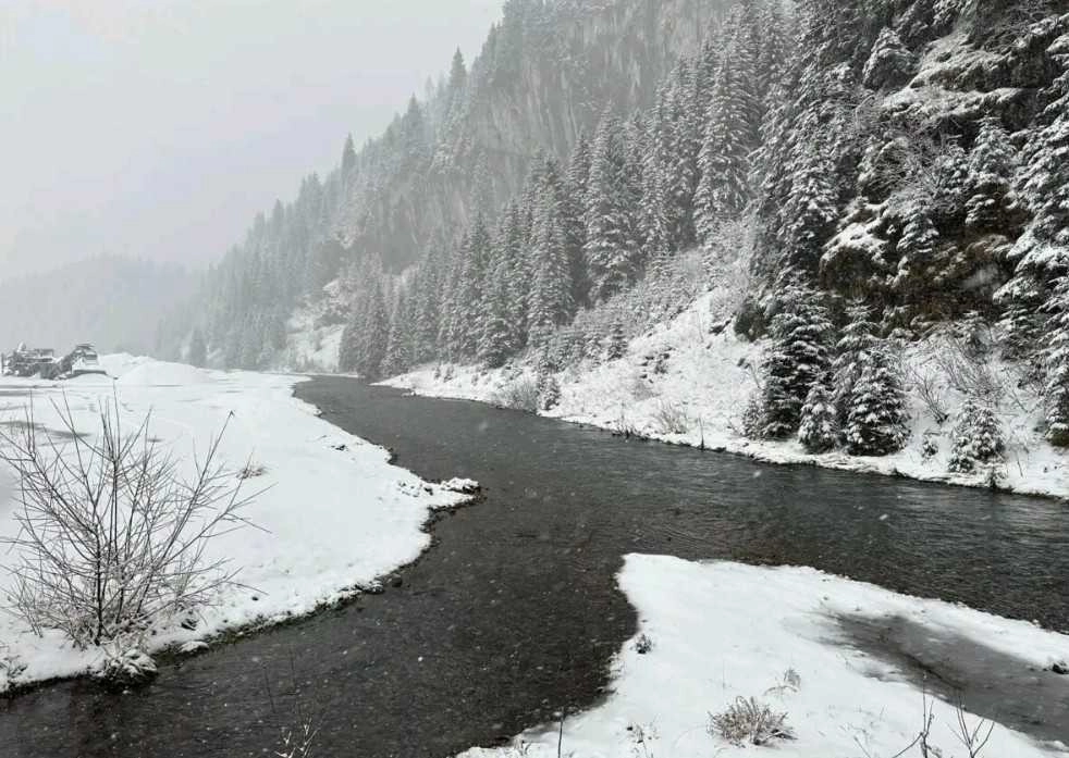 Ευρώπη : Πυκνές χιονοπτώσεις στα ορεινά - ημιορεινά της Αυστρίας και της Ελβετίας και άνεμοι σε επίπεδα τυφώνα - Ένας νεκρός