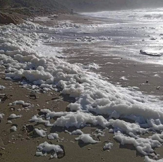 Λευκός αφρός κάλυψε παραλία στην Κρήτη μετά την κακοκαιρία - Τι είναι αυτό το φαινόμενο και πως δημιουργείται