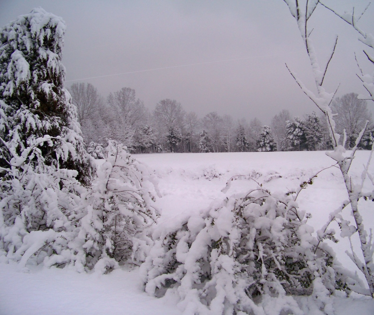 🌨️ Χιόνια ακόμη και σε χαμηλά υψόμετρα κατά τόπους την Τρίτη 09-01-24