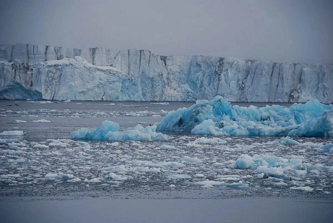 Λιγότερος πάγος και περισσότερο πράσινο: Η παγωμένη Αρκτική γίνεται όλο και πιο πράσινη