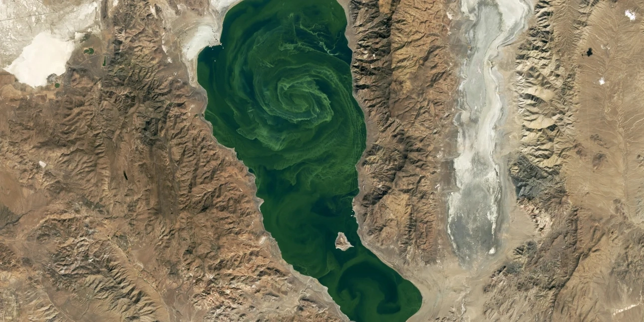 Λίμνη στη Νεβάδα γέμισε πράσινους στρόβιλους - Είναι ορατοί από το Διάστημα