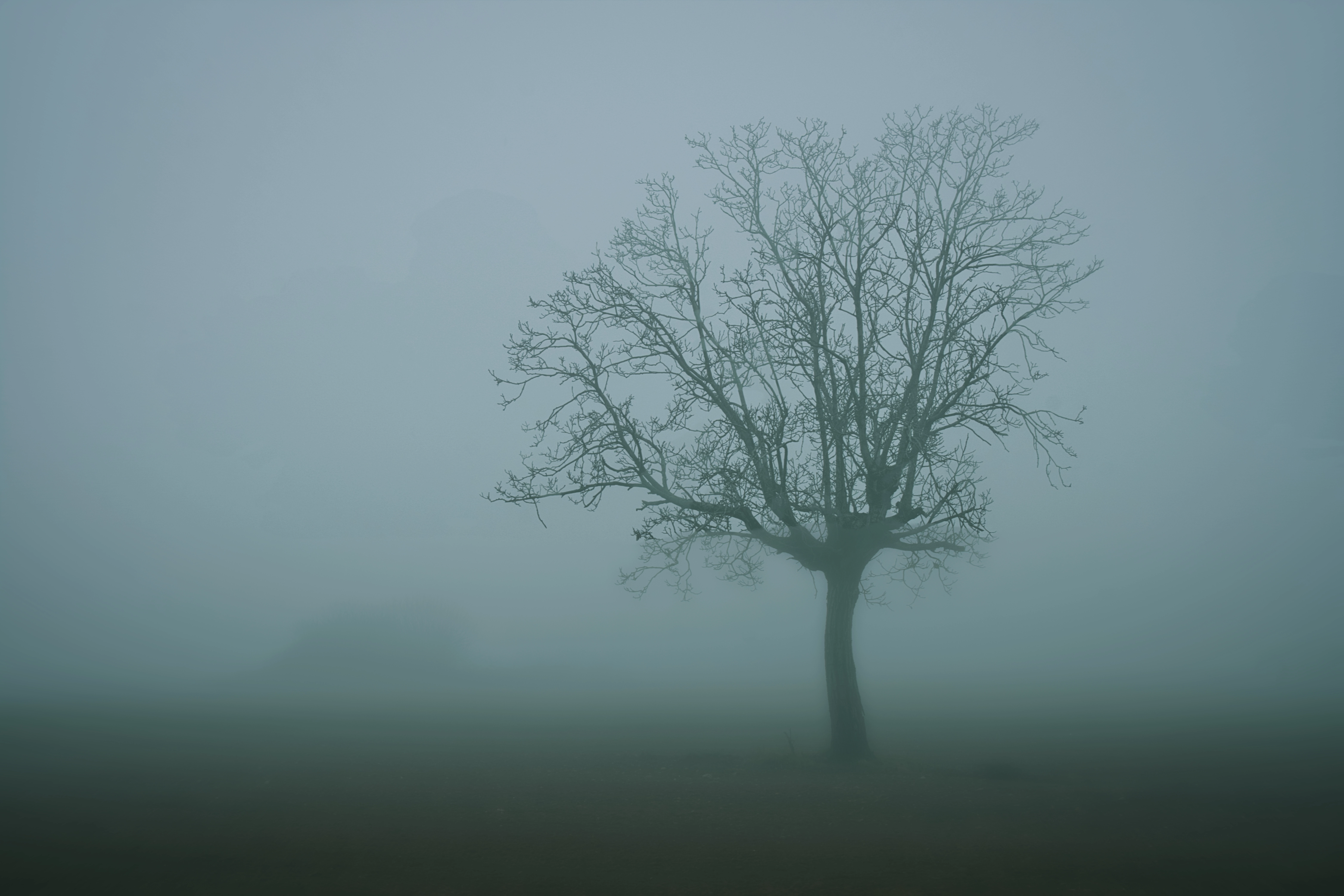 🌤️ Περιορισμένη ορατότητα κατά τόπους την Κυριακή 16/11/25