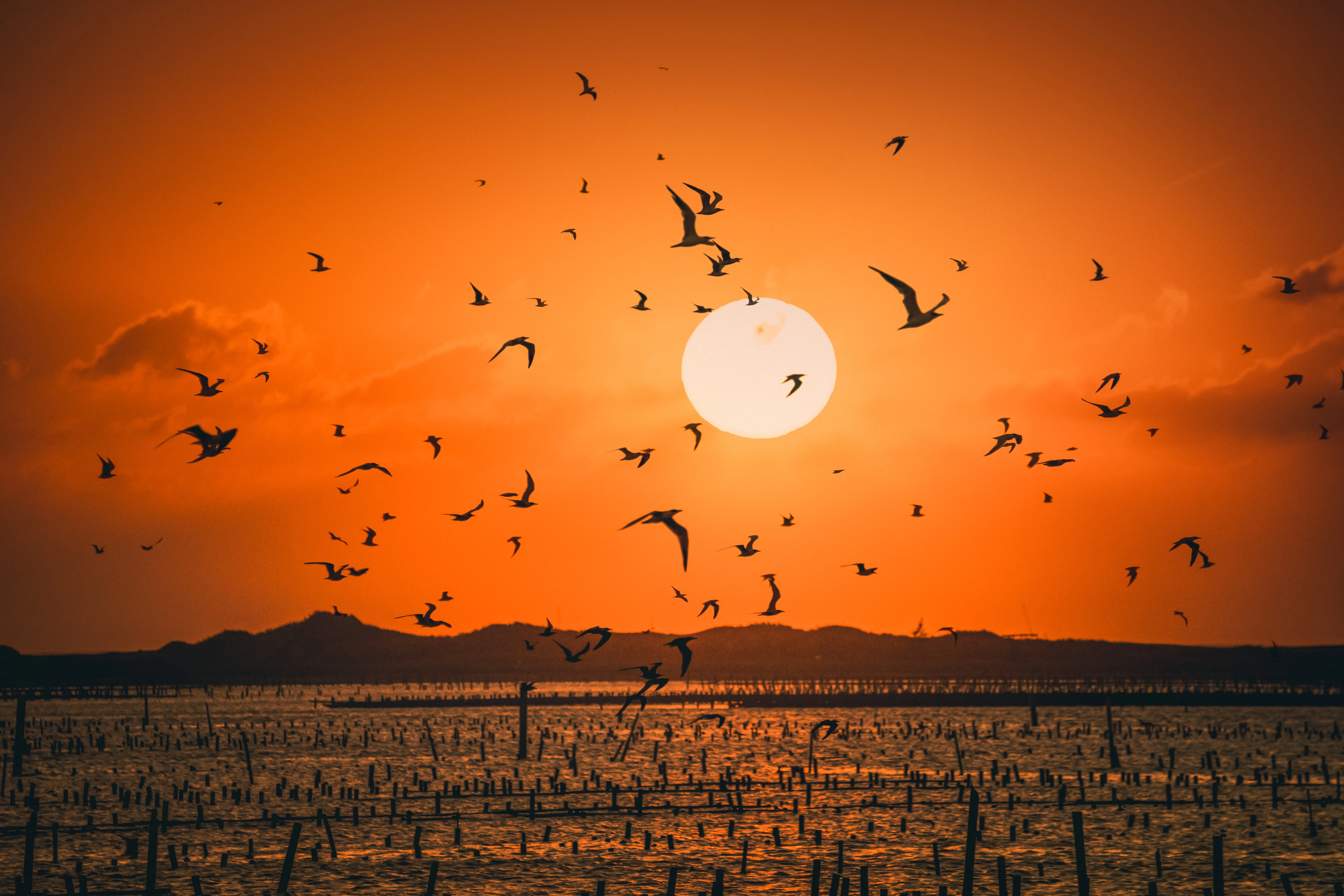 🌤️ Συνέχιση του βελτιωμένου καιρού στη χώρα τη Τρίτη 16-12-25