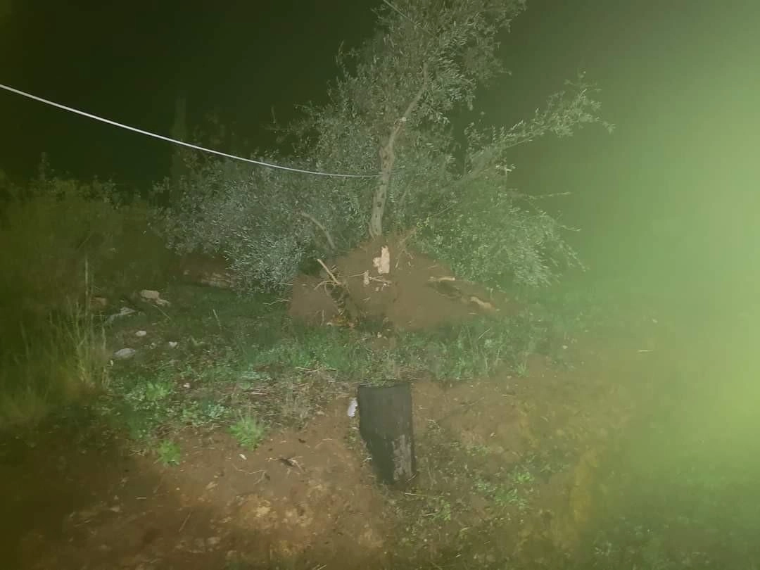 Ανεμοστρόβιλος έπληξε περιοχές του δήμου Ζαχάρως Ηλείας. (ΕΙΚΟΝΕΣ)