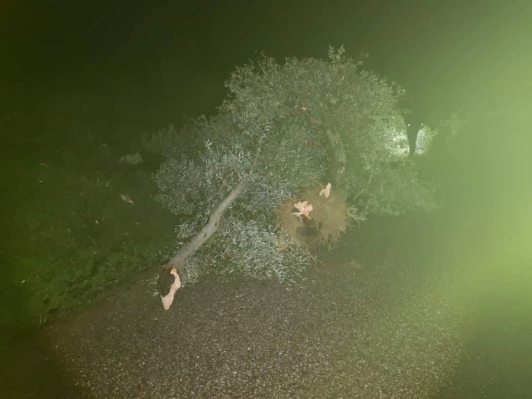 Ανεμοστρόβιλος έπληξε περιοχές του δήμου Ζαχάρως Ηλείας. (ΕΙΚΟΝΕΣ)