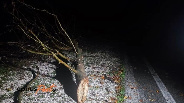 Σοβαρά Προβλήματα έκλεισε η παλιά Εθνική Οδός Ιωαννίνων Άρτας από πτώσεις δέντρων. 