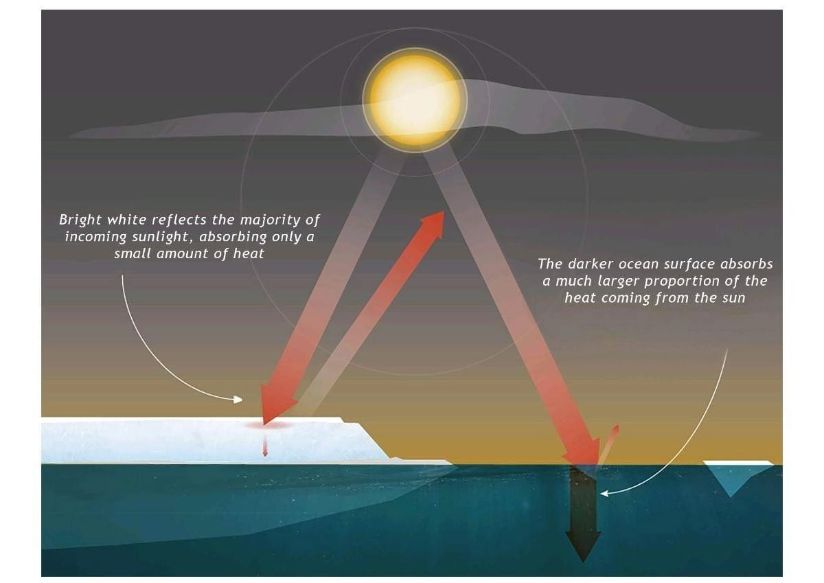 Αυξάνονται συνεχώς οι πάγοι στην Αρκτική - Ασυνήθιστη κατανομή θαλάσσιου πάγου σε τμήματα της Ανταρκτικής