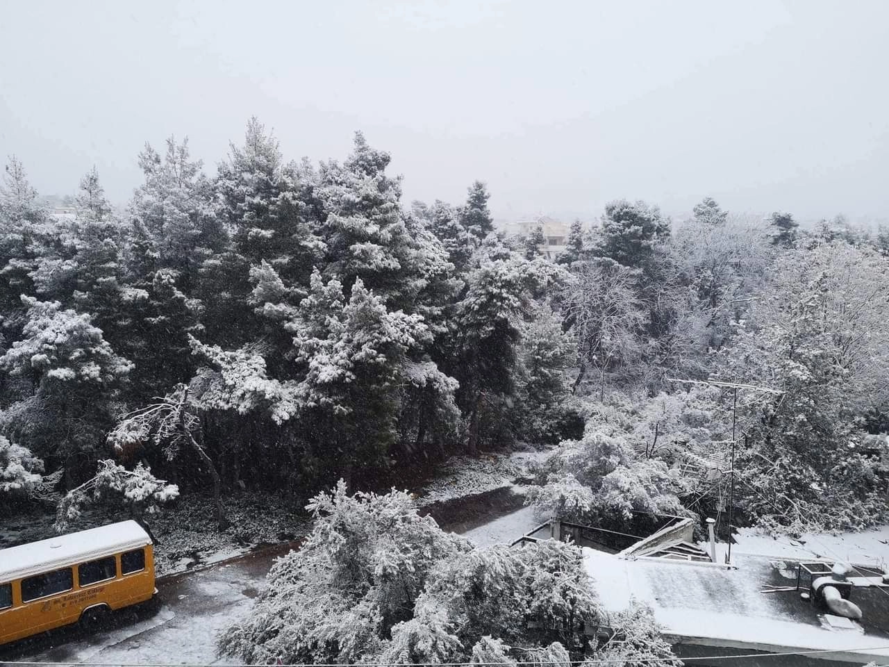 Όμορφες εικόνες και βίντεο από την χιονισμένη Αττική - Νέα υποτροπή του καιρού από το βράδυ παρά την ύφερση των φαινομένων