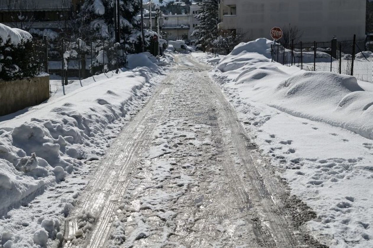 Κατέστρεψε ο ισχυρός παγετός καλλιέργειες σε Μακεδονία και Πελοπόννησο - Που παρατηρούνται προβλήματα