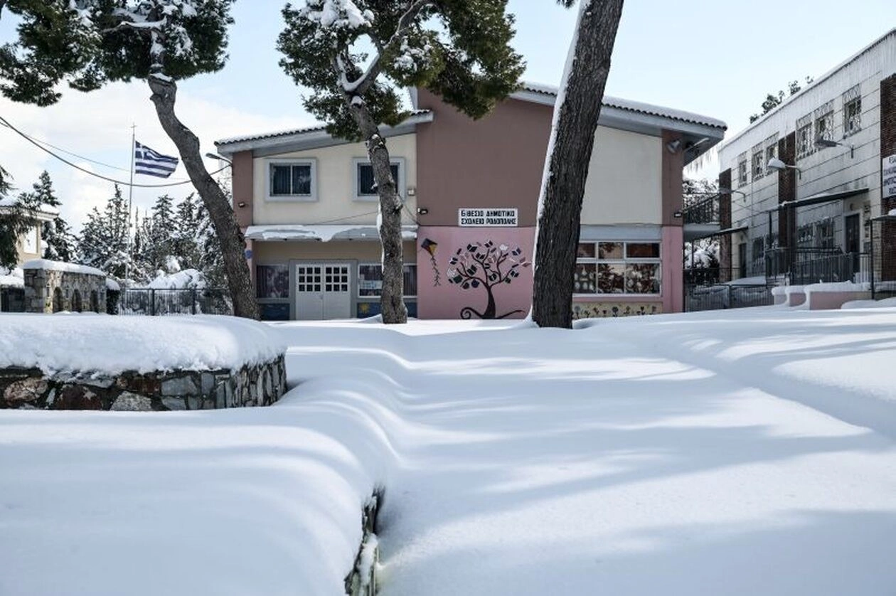 Κατέστρεψε ο ισχυρός παγετός καλλιέργειες σε Μακεδονία και Πελοπόννησο - Που παρατηρούνται προβλήματα