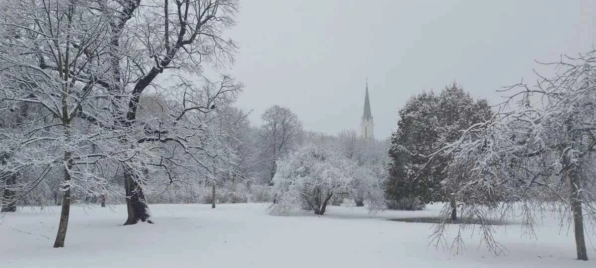 Αυστρία : Και η Βιέννη βιώνει μία από τις πιο χιονισμένες μέρες των τελευταίων ετών - Προβλήματα δημιουργήθηκαν στις συγκοινωνίες