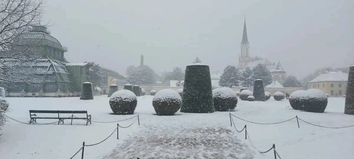 Αυστρία : Και η Βιέννη βιώνει μία από τις πιο χιονισμένες μέρες των τελευταίων ετών - Προβλήματα δημιουργήθηκαν στις συγκοινωνίες