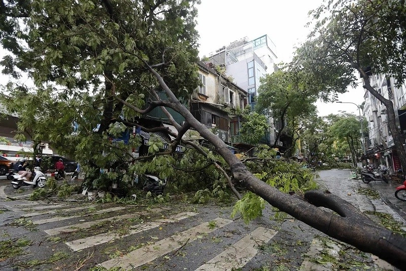 Τυφώνας Γιάγκι, καταρρακτώδεις βροχές στο Βιετνάμ: ξαφνική κατολίσθηση επιδεινώνει τον αριθμό των νεκρών | ΦΩΤΟΓΡΑΦΙΑ