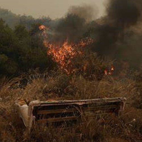 Μαγνησία : Καταστράφηκε το 80% της κτηνοτροφίας - Πάνω από 3.000 ζώα κάηκαν ζωντανά από την πυρκαγιά