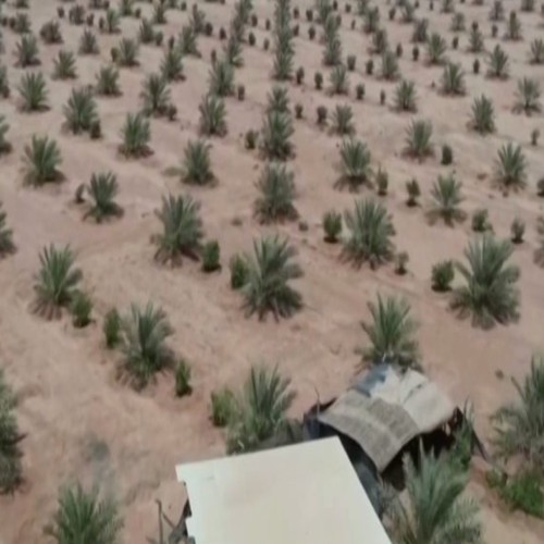 Τείχος προστασίας δημιουργεί το Ιράκ απέναντι στην ερημοποίηση και τις αμμοθύελλες (video)